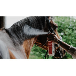 Desenredante brillante Rekor Show Coat