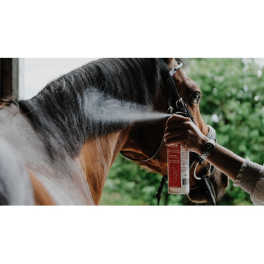 Desenredante brillante Rekor Show Coat