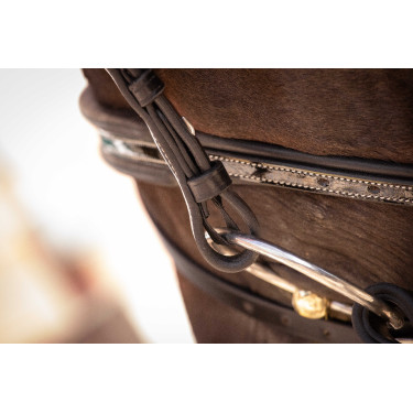 Cabezada Pénélope Smoothie Negro