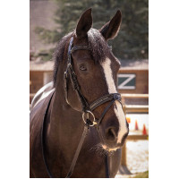 Cabezada Pénélope Smoothie Negro Cabezada Pénélope Smoothie Negro