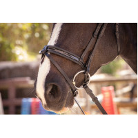 Cabezada Pénélope Smoothie Havana Marrón