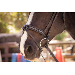 Cabezada Pénélope Smoothie Negro