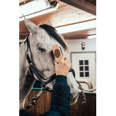 Cepillo de cabeza Borstiq