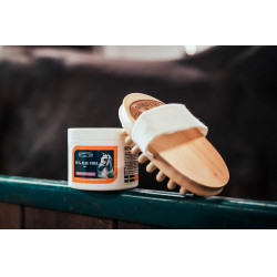 Cepillo de masaje Borstiq