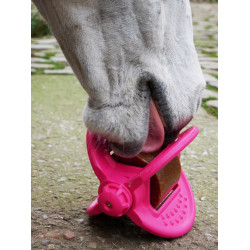 Bizzy Ball Likit Fucsia Rosa Bizzy Ball Likit Fucsia Rosa