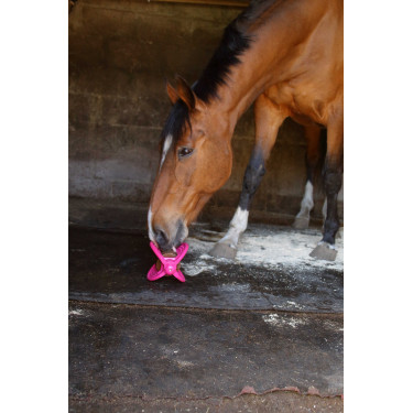 Bizzy Ball Likit Fucsia Rosa Bizzy Ball Likit Fucsia Rosa