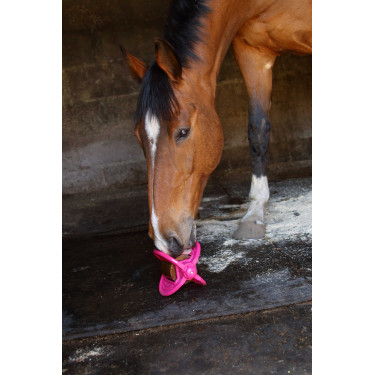 Bizzy Ball Likit Fucsia Rosa Bizzy Ball Likit Fucsia Rosa