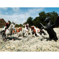 Caballo de concurso con su...