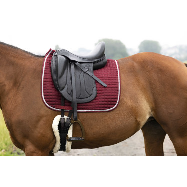 Tapijt Riding World Girly Burdeos
