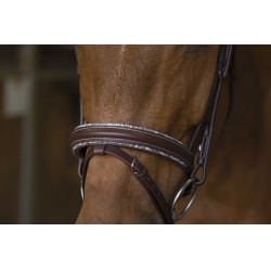 Cabezada de montar Norton Pro Rock Havana Marrón Cabezada de montar Norton Pro Rock Havana Marrón