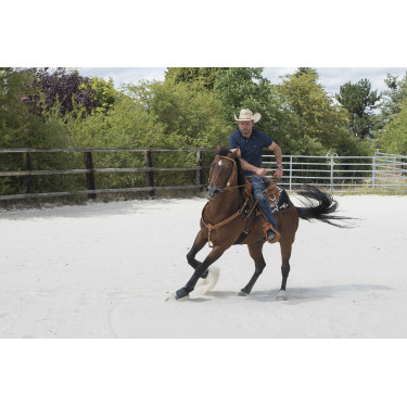 Silla WESTRIDE by Franck Perret Aurora Avellana Marrón Silla WESTRIDE by Franck Perret Aurora Avellana Marrón