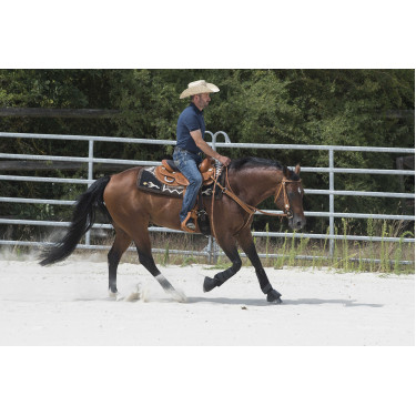 Silla WESTRIDE by Franck Perret Aurora Avellana Marrón Silla WESTRIDE by Franck Perret Aurora Avellana Marrón