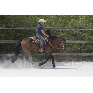 Silla WESTRIDE by Franck Perret Aurora Avellana Marrón Silla WESTRIDE by Franck Perret Aurora Avellana Marrón