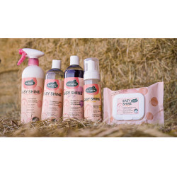 Easy Shine Ravene Wipe