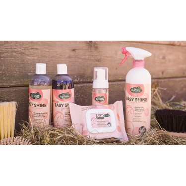 Easy Shine Ravene Wipe