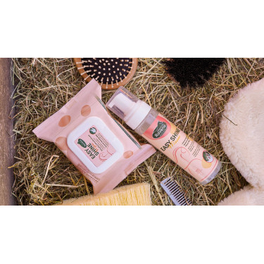 Easy Shine Ravene Wipe