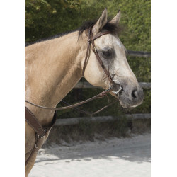 Cabezada de montar Westride by Franck Perret Colorado Chocolate Marrón