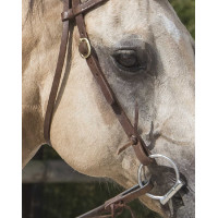 Cabezada de montar Westride by Franck Perret Colorado Chocolate Marrón