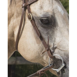 Cabezada de montar Westride by Franck Perret Colorado Chocolate Marrón
