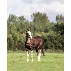 Manta Bucas Irish Turnout 300 g con cuello desmontable Café exprés Marrón Manta Bucas Irish Turnout 300 g con cuello desmontable Café exprés Marrón