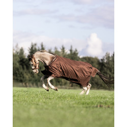 Manta Bucas Irish Turnout 300 g con cuello desmontable Café exprés Marrón Manta Bucas Irish Turnout 300 g con cuello desmontable Café exprés Marrón