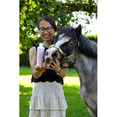 Aliment complémentaire ALODIS CARE - Help Cush