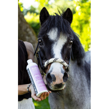 Aliment complémentaire ALODIS CARE - Help Cush