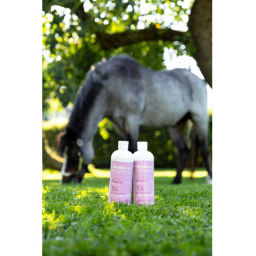 Aliment complémentaire ALODIS CARE - Help Cush