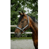 Licol EQUITHÈME - Glowy Negro / negro