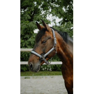 Licol EQUITHÈME - Glowy Negro / negro