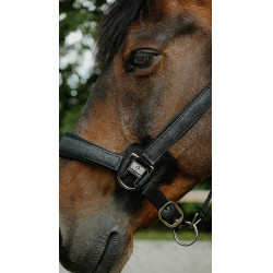 Licol EQUITHÈME - Glowy Negro / negro