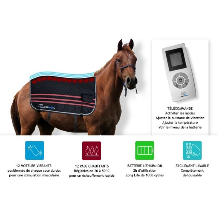 Manta de masaje E.Ziback Pro - vibración y calefacción Manta de masaje E.Ziback Pro - vibración y calefacción