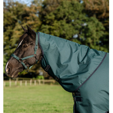 Cubrecuello Horseware Amigo Ripstop 900D Turnout Hood 150g Verde dinastía / marino / plata Cubrecuello Horseware Amigo Ripstop 900D Turnout Hood 150g Verde dinastía / marino / plata