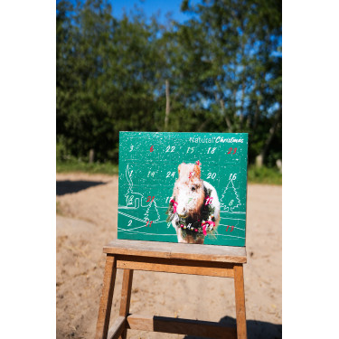 Calendario de Adviento Natural'Christmas Gourmet 2025 Natural'Innov