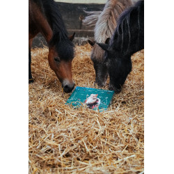 Calendario de Adviento Natural'Christmas Gourmet 2025 Natural'Innov