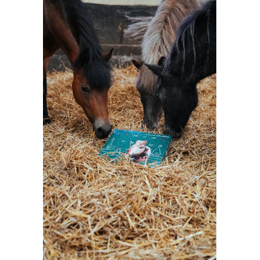 Calendario de Adviento Natural'Christmas Gourmet 2025 Natural'Innov