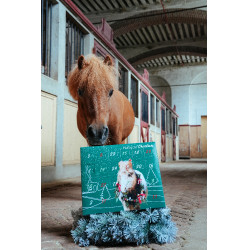 Calendario de Adviento Natural'Christmas Gourmet 2025 Natural'Innov