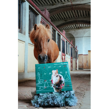 Calendario de Adviento Natural'Christmas Gourmet 2025 Natural'Innov