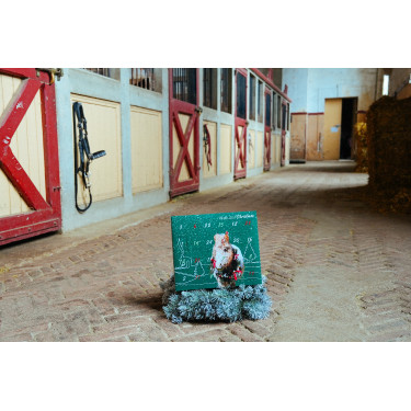 Calendario de Adviento Natural'Christmas Gourmet 2025 Natural'Innov