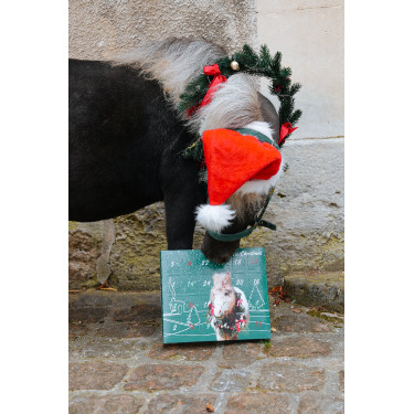 Calendario de Adviento Natural'Christmas Gourmet 2025 Natural'Innov