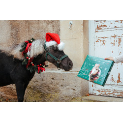 Calendario de Adviento Natural'Christmas Gourmet 2025 Natural'Innov