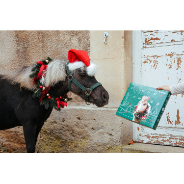 Calendario de Adviento Natural'Christmas Gourmet 2025 Natural'Innov