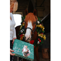 Calendario de Adviento Natural'Christmas Gourmet 2025 Natural'Innov