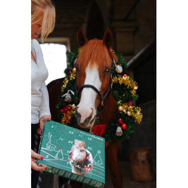 Calendario de Adviento Natural'Christmas Gourmet 2025 Natural'Innov