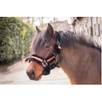 Cabezada de cuadra Pénélope Soft Negro / beige Cabezada de cuadra Pénélope Soft Negro / beige