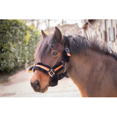 Cabezada de cuadra Pénélope Soft Negro Cabezada de cuadra Pénélope Soft Negro