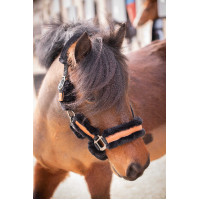 Cabezada de cuadra Pénélope Soft Negro