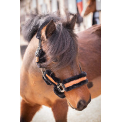 Cabezada de cuadra Pénélope Soft Negro