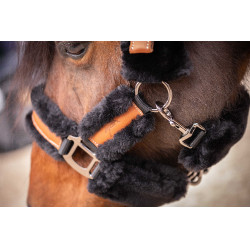 Cabezada de cuadra Pénélope Soft Negro