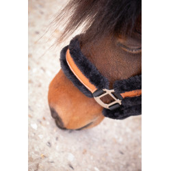 Cabezada de cuadra Pénélope Soft Negro